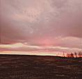 20 Acres For Rent