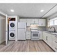 Renovated Basement Apartment