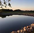 Your Dream Acreage - Private But Not Remote!