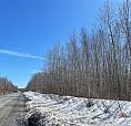 2 & 3 Acre Lots In Rusagonis!!
