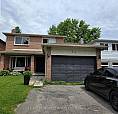 2 Bed, 1 Bath Bsmt Apartment For Rent