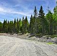 70 Acre Lot With Brand New Well, Septic & Power