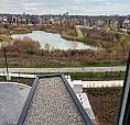 Almost New 1 Bedroom Condo For Rent