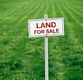 Looking For Buildable Land (1 Acre)