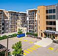 Sublet Available – Beautiful 1-Bedroom Apartment 