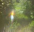 1 Acre Of Land For Sale.