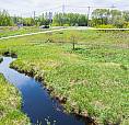 1/2 Ha Hunting Property, Rainy River, Ontario.