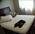 2 Bedroom Main Floor House Available For Rent 