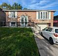 2-bedroom Walkout Basement Apartment | All-inclusive & Private