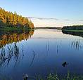 Lake + Oceanside Land On Cape Breton, Nova Scotia