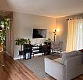  Fully Furnished 1-Bedroom – $1,300/Month!