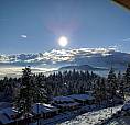 Avail Sept 1 - 1Bdrm/1Bath In Wilden (Kelowna) - Close To Ubco
