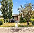 Beautiful 4 Bed 2 Bath House/Bungalow For Rent In Grovernor