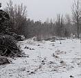 Miramichi, Beautiful 1.17 Acre Lot In Auburnville.