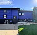 Bachelor Basement Suite For Rent