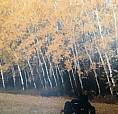 One Section/640 Acres Of Pasture, Hay & Gravel In St. Laurent Mb