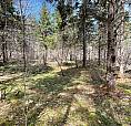 11 +/- Acres  Marshville, Nova Scotia
