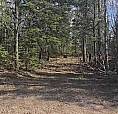 Land For Sale - Over 150 Acres On Kam/Lappe Border