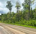 Vacant Land - 7.25 Acres - Carter Side Rd - Desbarats