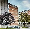 Dorval 3 1/2 For Rent