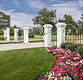 Burial Plot