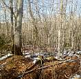 Selling 66 Acres Of Land.