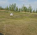 Sale Of Craik Commercial Lot