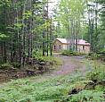 Camp And 25 Acre Woodlot