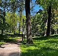 Looking For A Camp, Fredericton Area