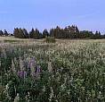Waterview Lot In Grand Pere Point, Cymbria