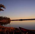 Wanted Home At Emma Lake