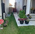  Basement For Rent In Copperfield Se