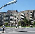 4 1/2 Rénové À C.s.l. À Partir De $1800 Tout Inclus.