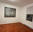 Bright 3 Bedroom Apartment, Plateau - Available Oct 25