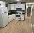 1 Bedroom Basement Suite – $1250