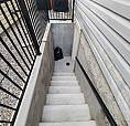 1 Bed/1 Bath Legal Suite Basement For Rent 