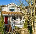 Brand-New 1-Bed Basement Suite In Albion (Maple Ridge)