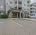 1 Bedroom+condo For Rent