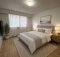Bright 1-Bedroom Suite Near Commercial Drive