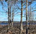 Lake View Lots On Canal Beach Newbrunswick!