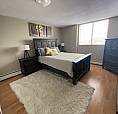  2 Bed 1 Bath Apartment
