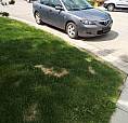 2009 Mazda 3 Sedan