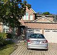 Basement Apartment For Rent