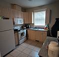 Daylight Basement Suite For Rent 