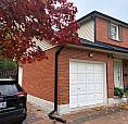 Basement Rental