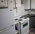Basement Suite 