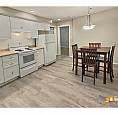 Gorgeous 2 Bedroom Basement Suite In Beautiful Highlands