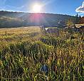 162 Acre Farm In Unorganized Township