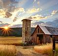 Looking For Land/Acreage /Home