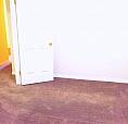 Near Guruduwara Sahib Full House Available For Rent